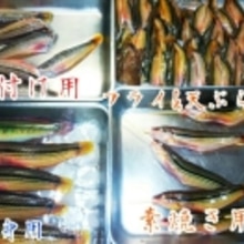 外道を喰う ベラの煮付け レシピ 作り方 By とっし 隊長 楽天レシピ 外道を喰う ベラの煮付け レシピ 作り方 By とっし 隊長 楽天レシピ